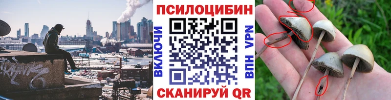 Галлюциногенные грибы мухоморы  Купить  Пионерский 